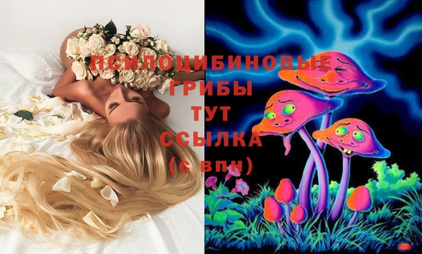 эйфоретик Наволоки