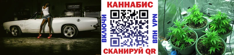 Марихуана семена Дегтярск